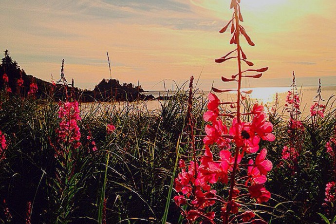 Best beaches outside beach seldovia kaarlo wik pq0jo2